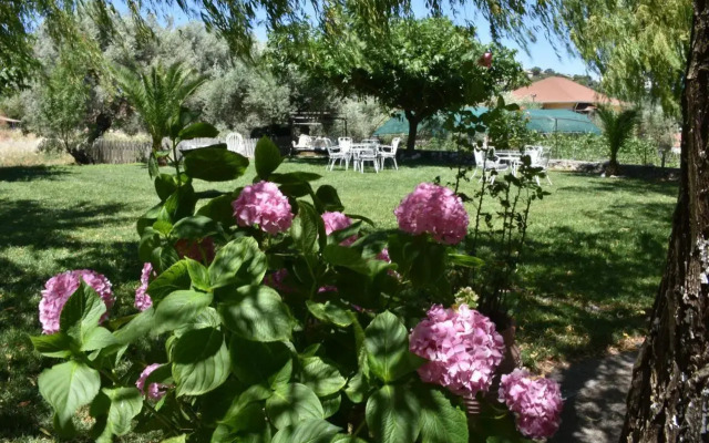 Studio Kostas