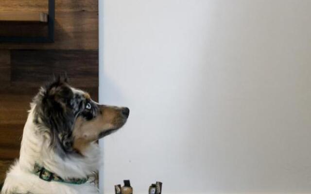 Tiny Homes by Snow Valley Lodging