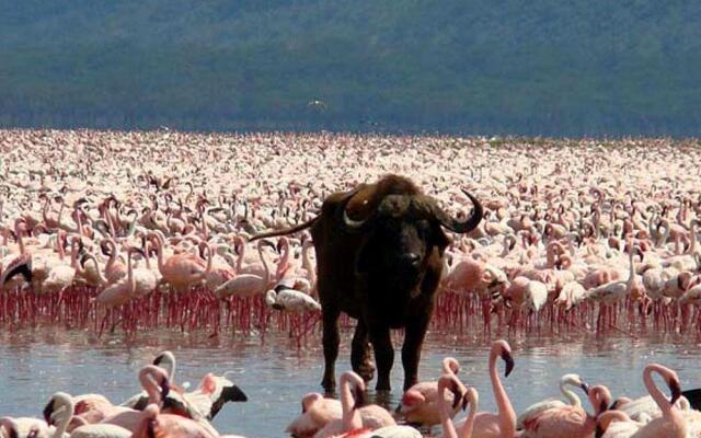 Samburu Sopa Lodge