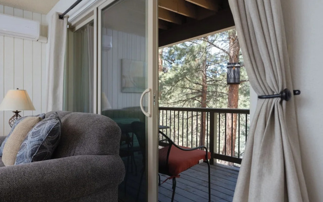 Ponderosa Vista Resort Condo!