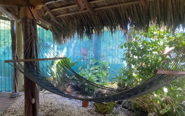 Mauras Tropical Mini Hostel