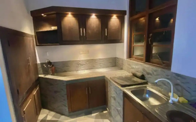 Villa Shungite