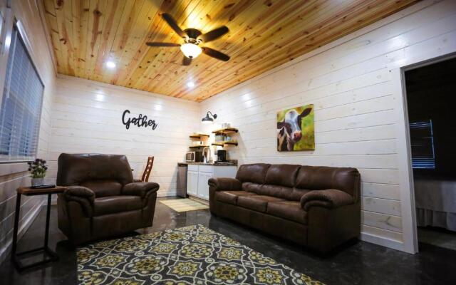 Knotty Squirrel Cabins