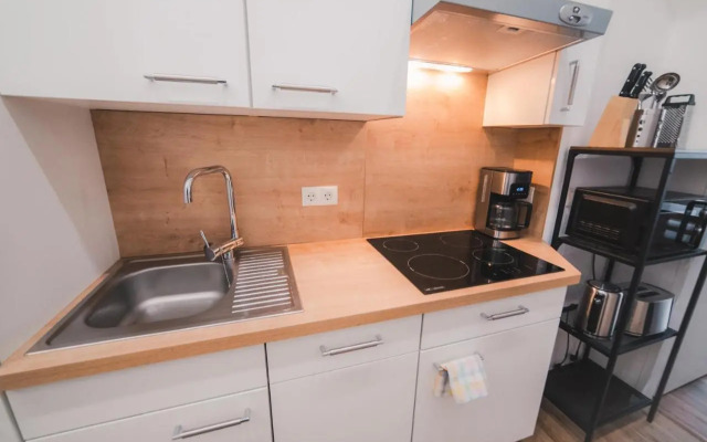 Renovated Apartment close to first district