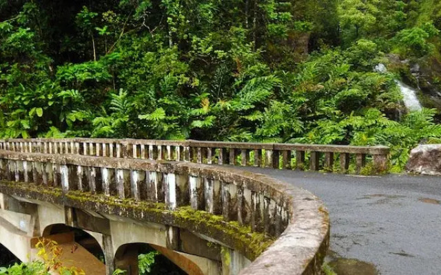 Royal Kahana 1020