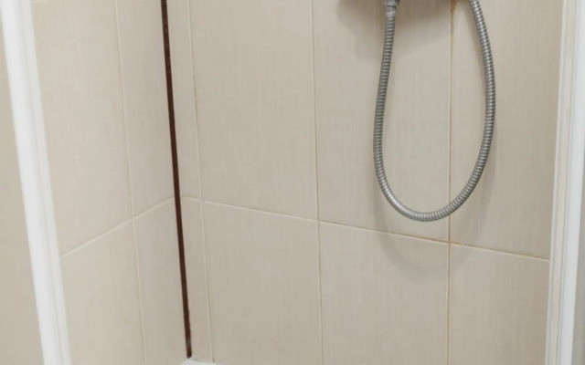 Transitional Havryky Apartment