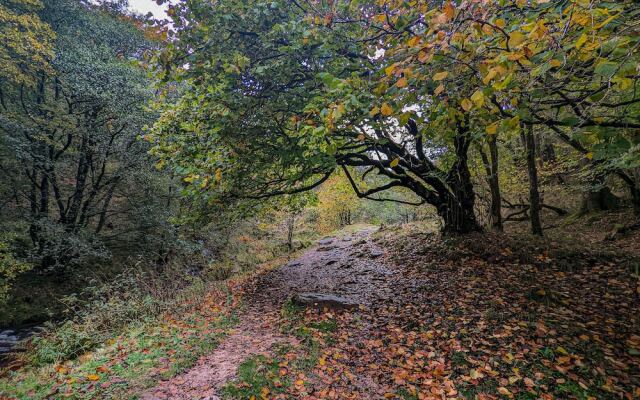 Mill Lodge Brecon Beacons
