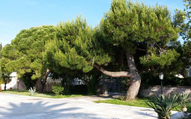 Villa Jadran Apartments