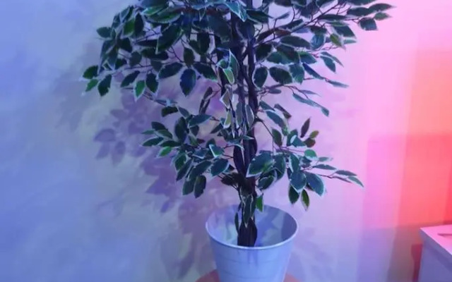 ORCHID House Stylish 3BDR Terrace Duplex Free WiFi DSTV