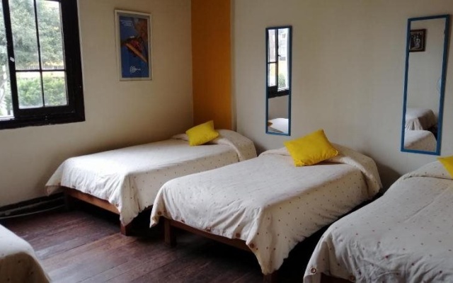 Flying Dog Hostel B&B