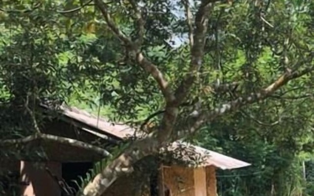 Sinharaja Rainforest View Villas