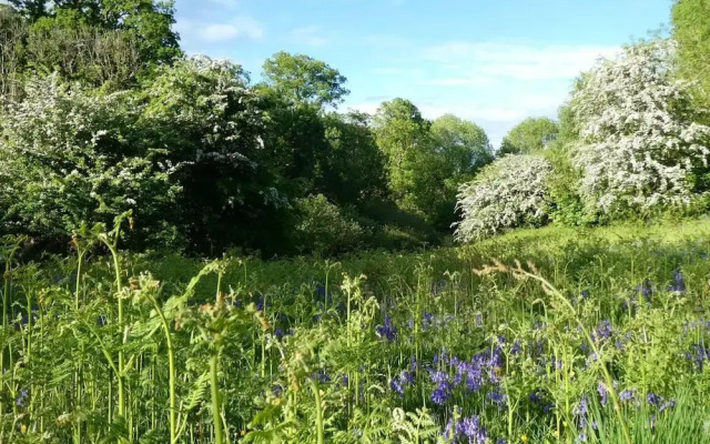 Roundhouse Yurt, Stunning Views, Totnes Dartmouth