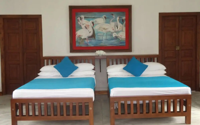 Peacock Point - Whole Villa 2 Bedroom (Sleeps 4)