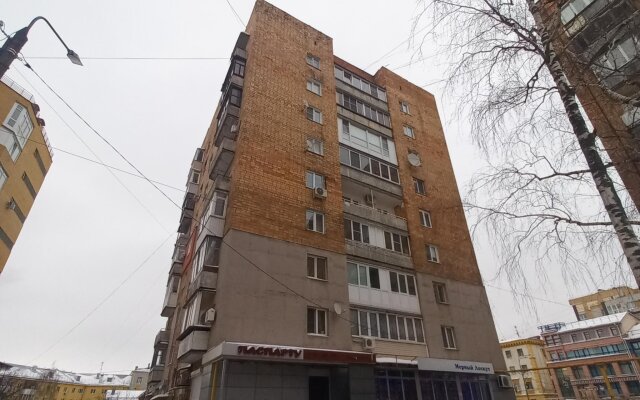Pasporty Apartments on Bolshaya Pokrovskaya