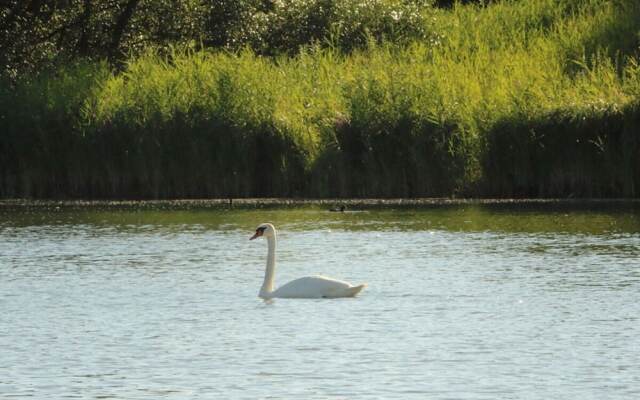 Stella Maris Modern Retreat