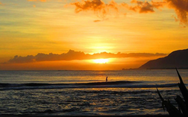 Tahiti Surf Beach Paradise