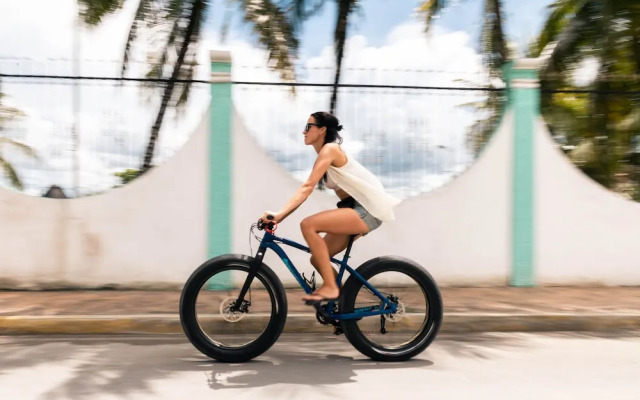 El Búho Eco-Cabañas Hostal.