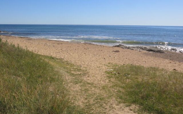 Le Goeland ArgentiA©