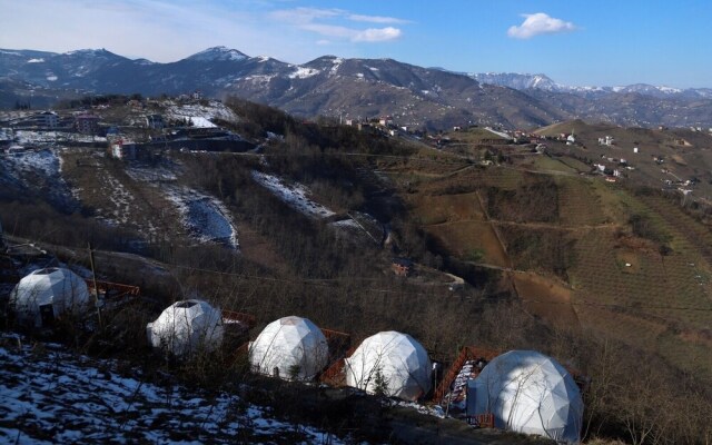 Zedome Panorama