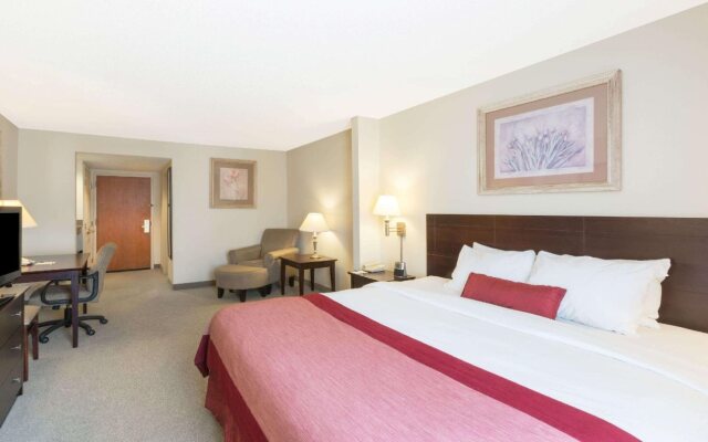 Spark by Hilton Tupelo