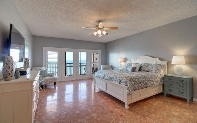 Beach Palms 504