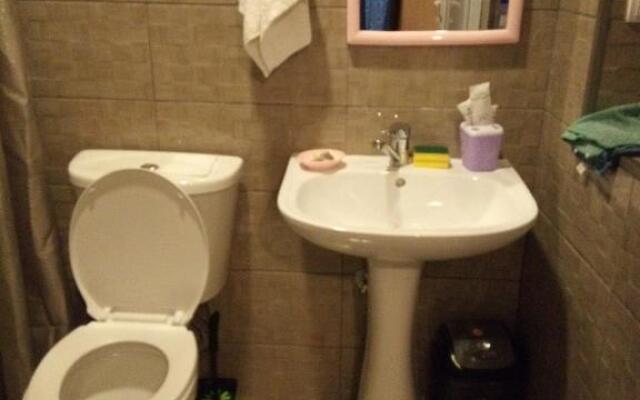 Apartment Ninoshvili 15