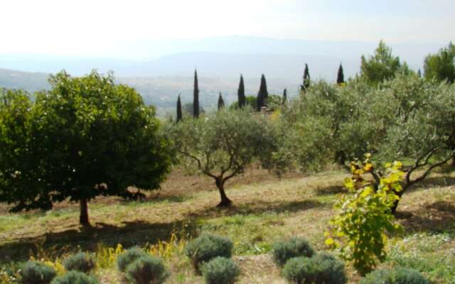 Lovely Holiday Home in Saint-saturnin-lès-apt With Pool