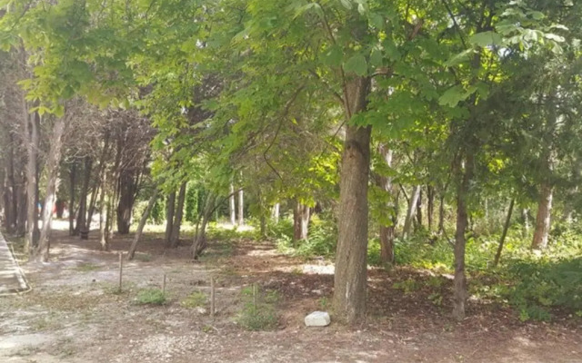 North Star - sea apartment