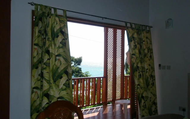 Palm View