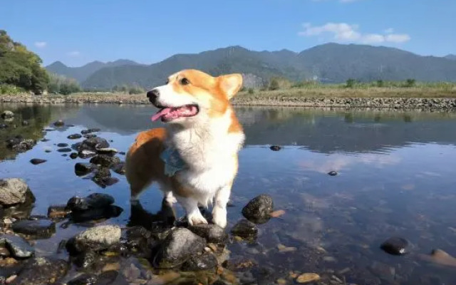 Tonglu Li Family Courtyard Slow Living Homestay