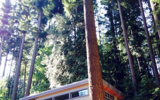 Nectar Yoga B&B Bowen Island