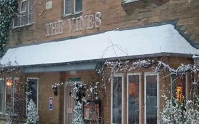 The Vines