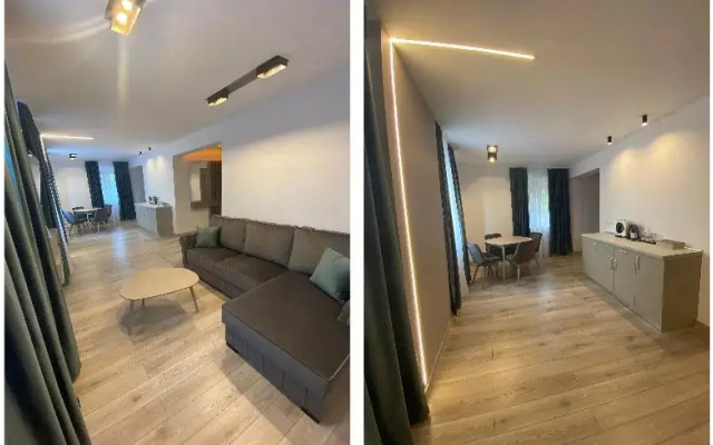 Vila Ursul Negru
