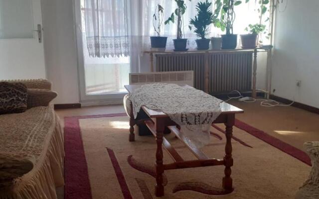 Bajina Basta stan na dan