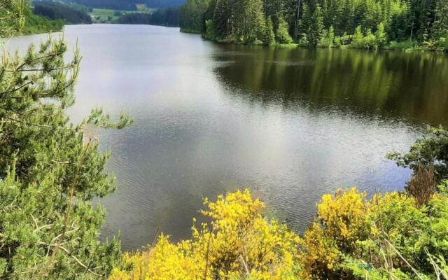 Appartement Saint-Genest-Malifaux, 2 pièces, 2 personnes - FR-1-496-228