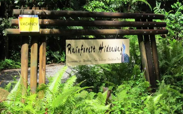 Rainforest Hideaway
