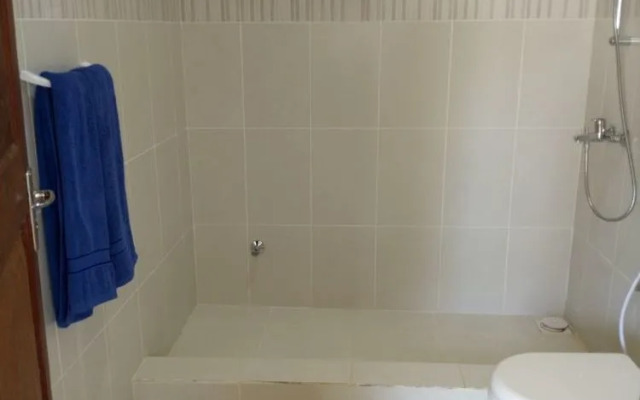 Bwejuu Beach Palm Villa