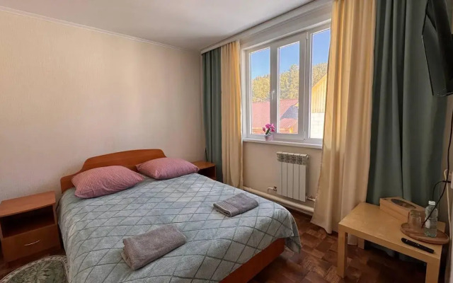 Кедр Золотой