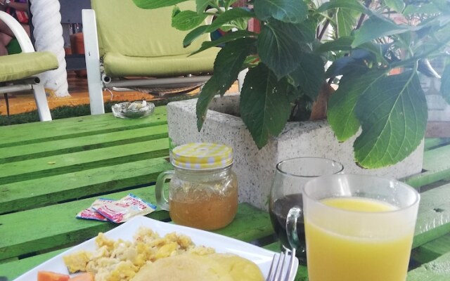 Tree House Hostel