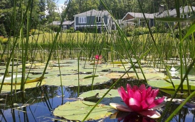 Gite La Grenouille Sautée
