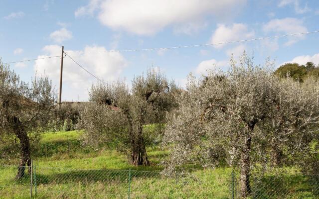 Apartment in Monte del Lago Near Lake Trasimeno