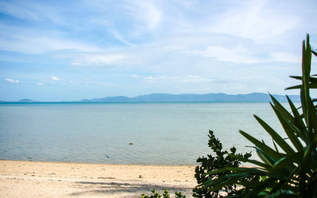 The Beach Village