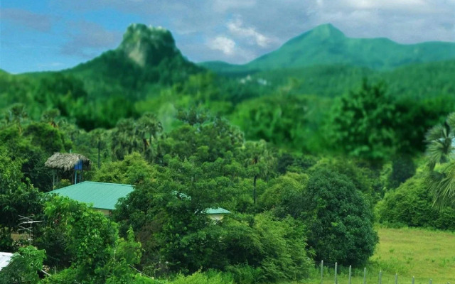 Diamond Popa Hotel