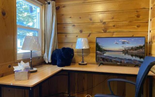 Pine Forest Cabin
