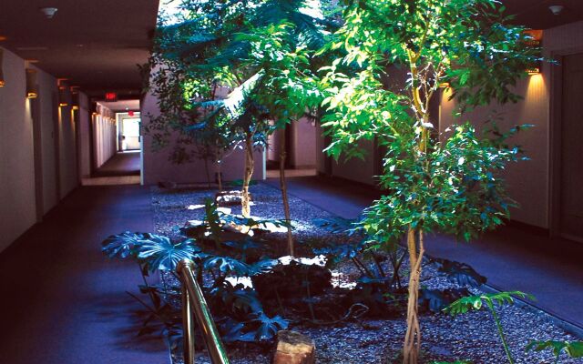 Cities Of Gold Casino