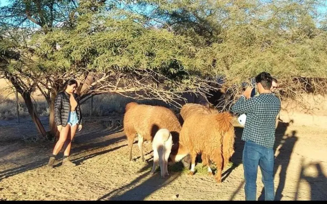 Cabañas, Voyage Atacama