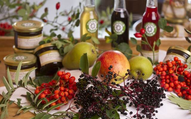 Schlossgut Odelzhausen