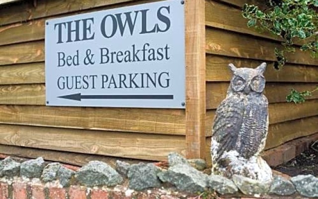 The Owls