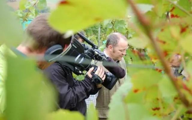 HEINRICHs winery bed & breakfast