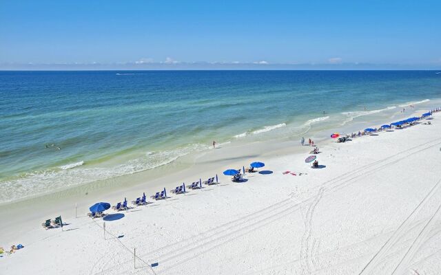 Signature Beach 502 239619 by RedAwning